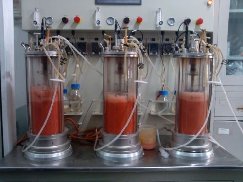 科技引領健康，益然展望未來 北京益然生物科技首屆新聞發布會聚焦生物科技研發新紀元